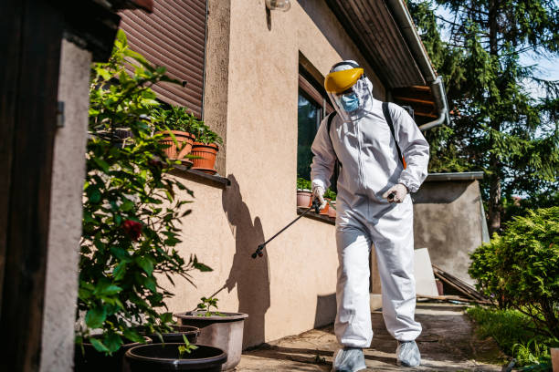 Best Pest Removal Services  in San Luis Obispo, CA