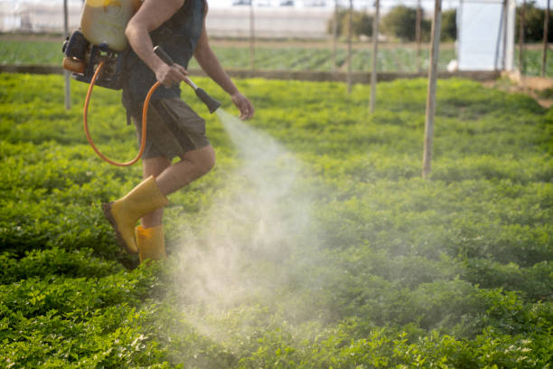 Trusted San Luis Obispo, CA Pest Control Experts