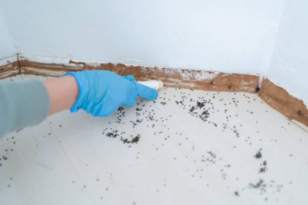 Best Residential Pest Control  in San Luis Obispo, CA
