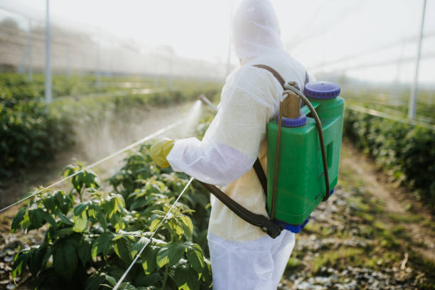 Best Local Pest Control Services  in San Luis Obispo, CA